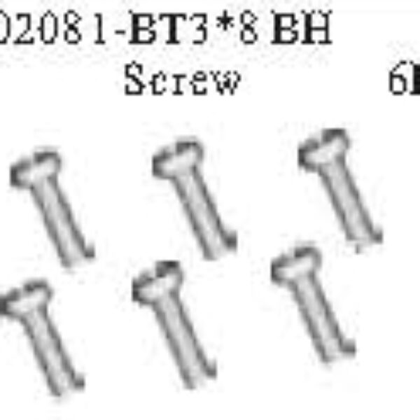 02081 - BT 3*8 BH Screw*6PCS