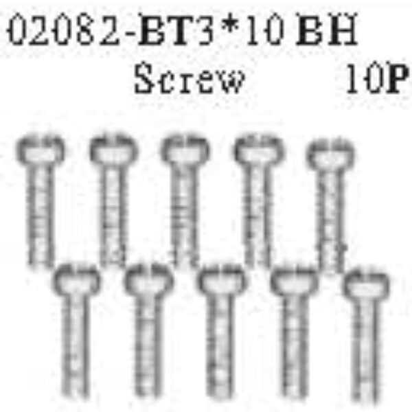 02082 - BT 3*10 BH Screw*10PCS