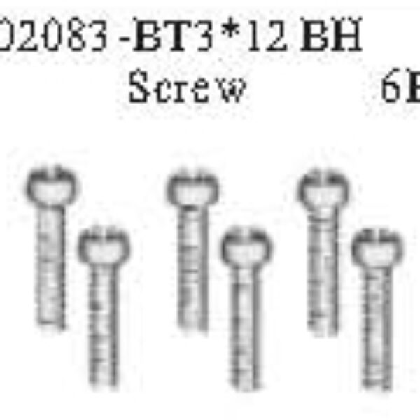 02083 - BT 3*12 BH Screw*6PCS
