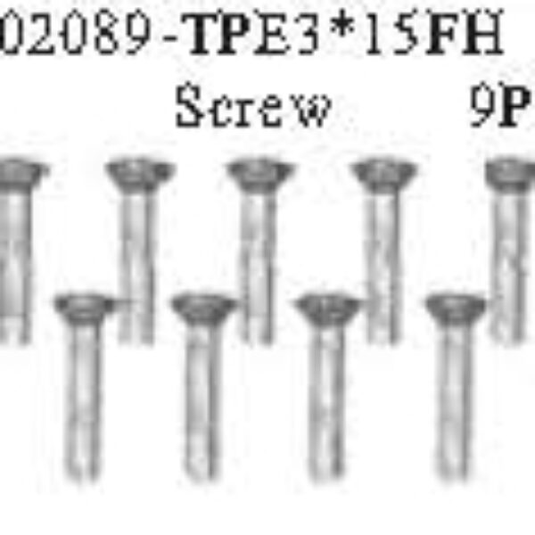 02089 - TPE 3*15 FH Screw*9PCS