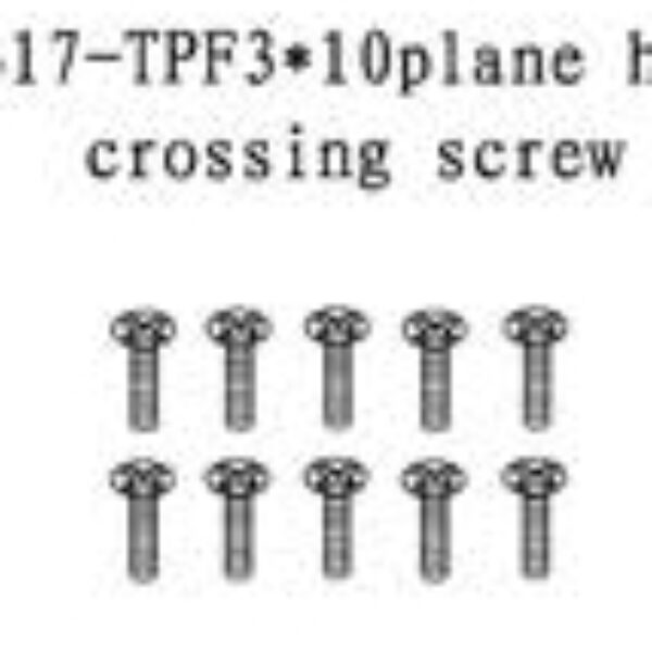11317/083109 - Plane head crossing screw 3x10 10stk